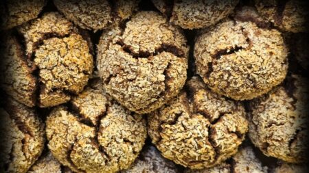 Girl Scouts Sue Little Brownie Bakers, Battle Marijuana Cookie Ban, Fake Knockoffs, Proving Iran Isn’t Our Only Nightmare