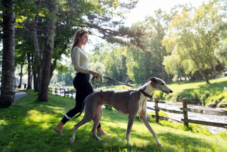 Maine Midcoast Town Cracks Down On Dog*hit, River Pollution, Banning Park Pets
