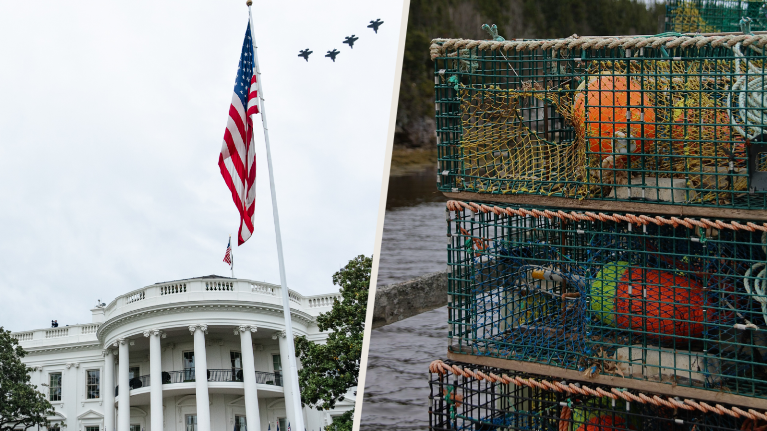 White House Expresses Support for Effort to Extend Moratorium on Lobster Industry Regulations Pertaining to Right Whale Through 2035