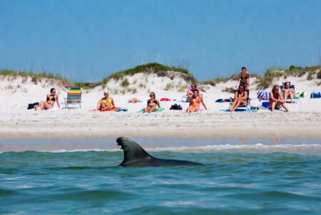 New England Shark Season Begins With First Sighting Of JAWS As Memorial Day Holiday Looms