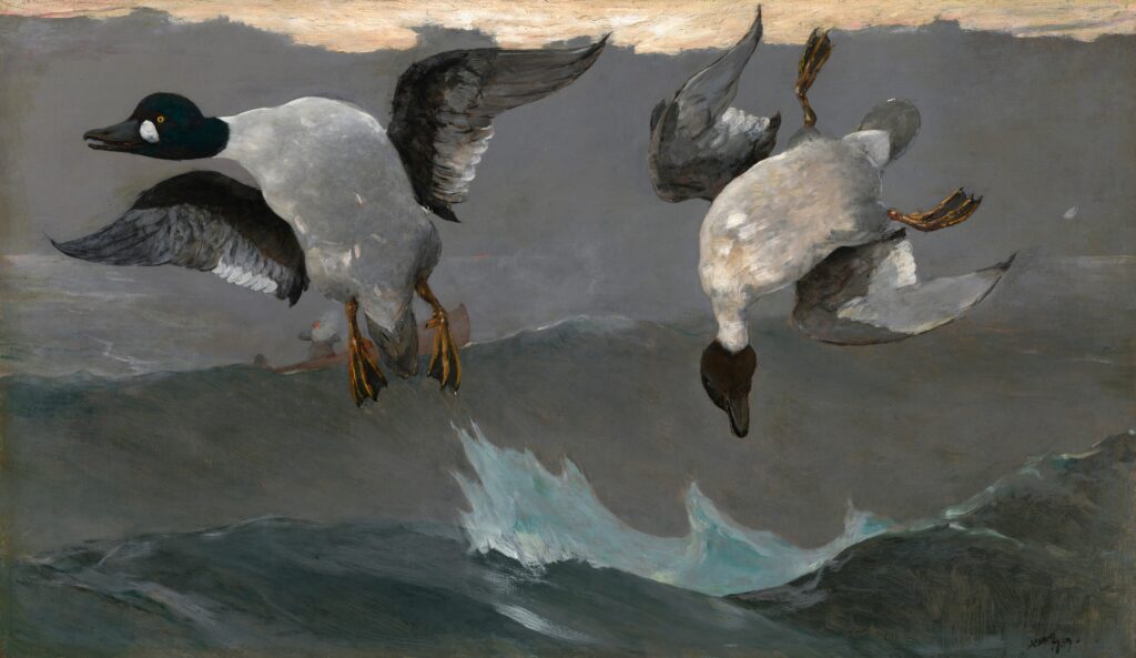 Portland Museum of Art Kicks Off America’s 250th With First Major Winslow Homer Etching Exhibit