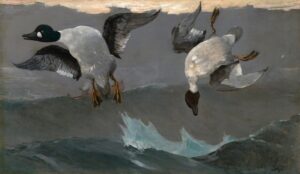Portland Museum of Art Kicks Off America’s 250th With First Major Winslow Homer Etching Exhibit