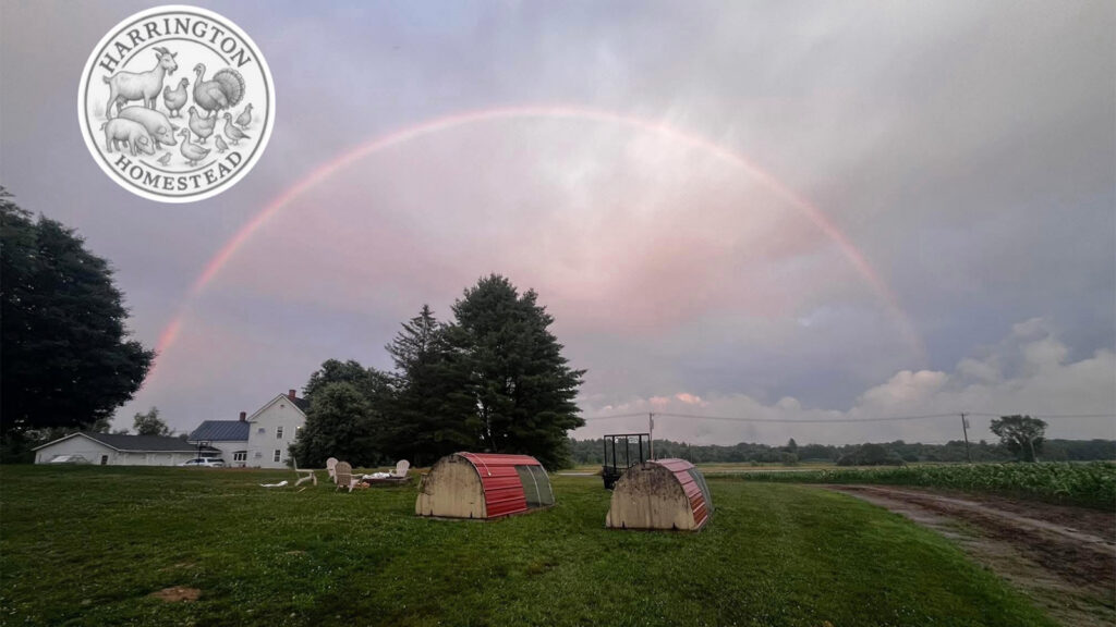 Clinton Family Farmers Take Action after State Regulators Shut Down Their Popular Farm Stand