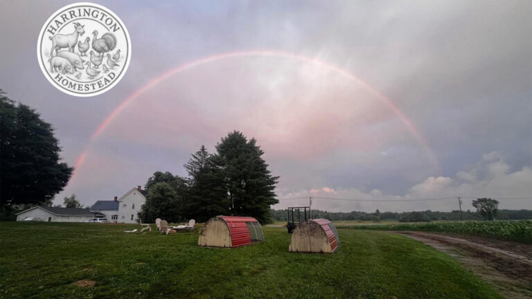Clinton Family Farmers Take Action after State Regulators Shut Down Their Popular Farm Stand