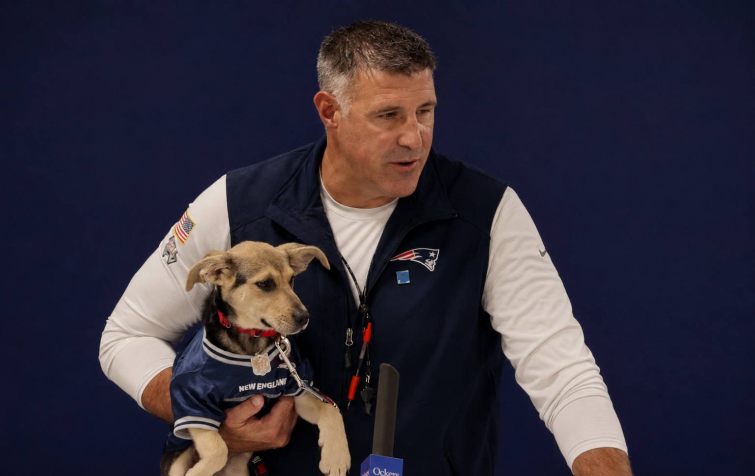 Mike Vrabel’s Latest Squeeze Is A Real Dog