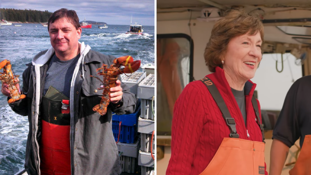 Shocking Betting Market Polls Giving Troy Jackson 30-Point U.S. Senate Winning Odds Over Susan Collins