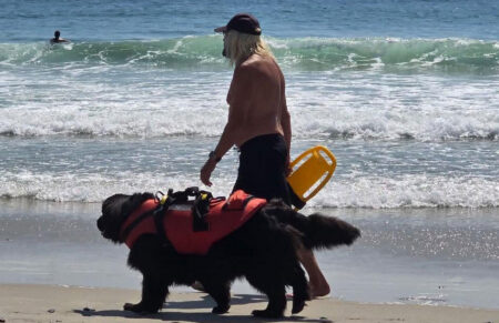 Maine Lifeguard Pulled Under By Shark Is 71, Now Has Really Seen It All