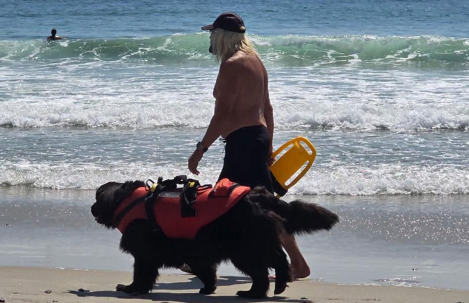 Maine Lifeguard Pulled Under By Shark Is 71, Now Has Really Seen It All