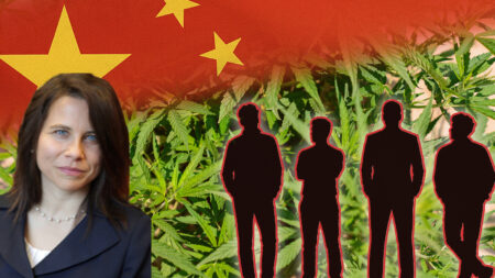 Maine Prosecutor Cuts Deal to Protect Illicit Chinese Cannabis Growers from Deportation