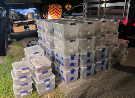 MDEA Busts Alleged Psilocybin, DMT Labs Inside Saco Home; Man Held on $250K Bail