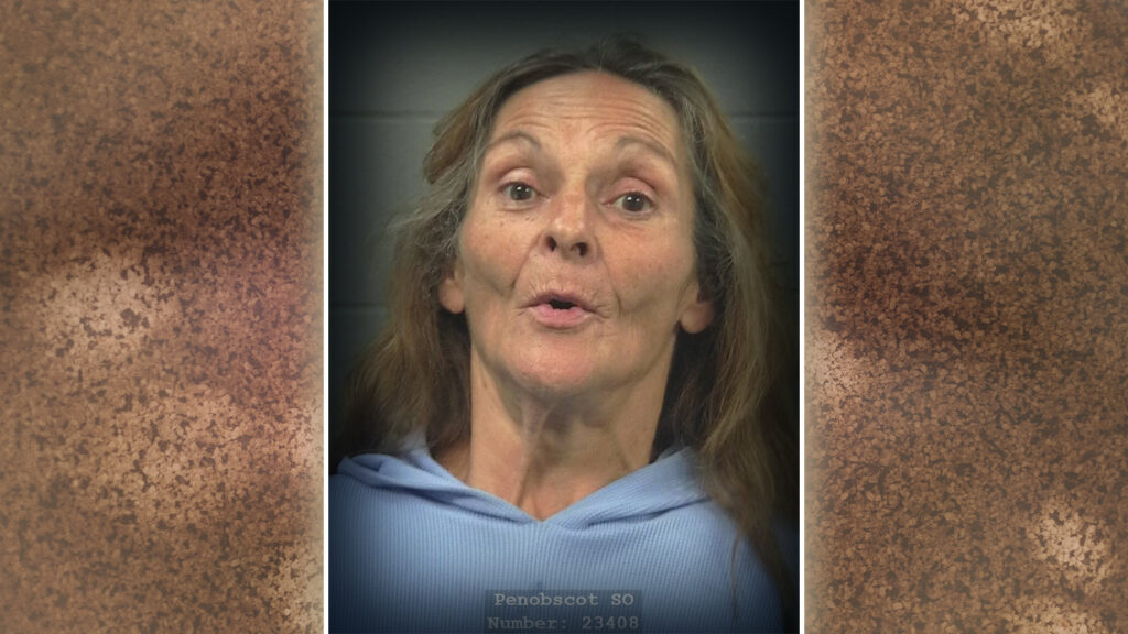 Levant Woman Arrested Again for Burglary Days After Arrest on the Same Charge