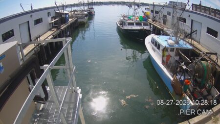 Trump Administration Launches ‘America First Seafood Strategy’ As Top USDA Official Views Maine Fish Auction