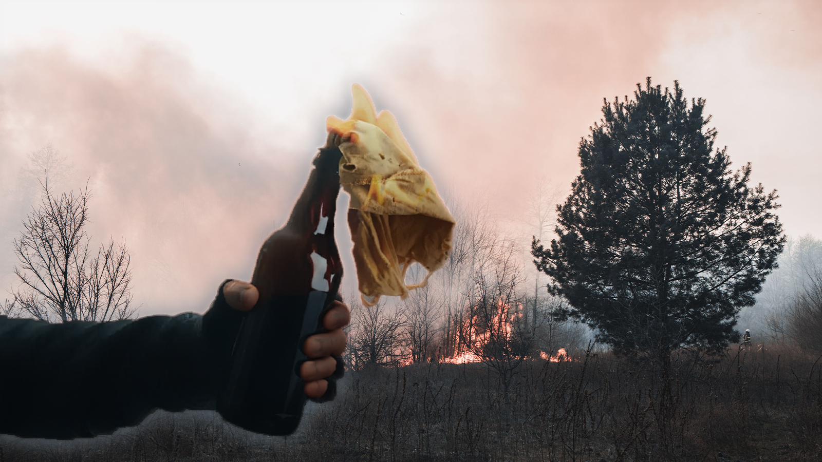 17-Year-Old Accused of Starting Waterboro Wildfire with Molotov Cocktail