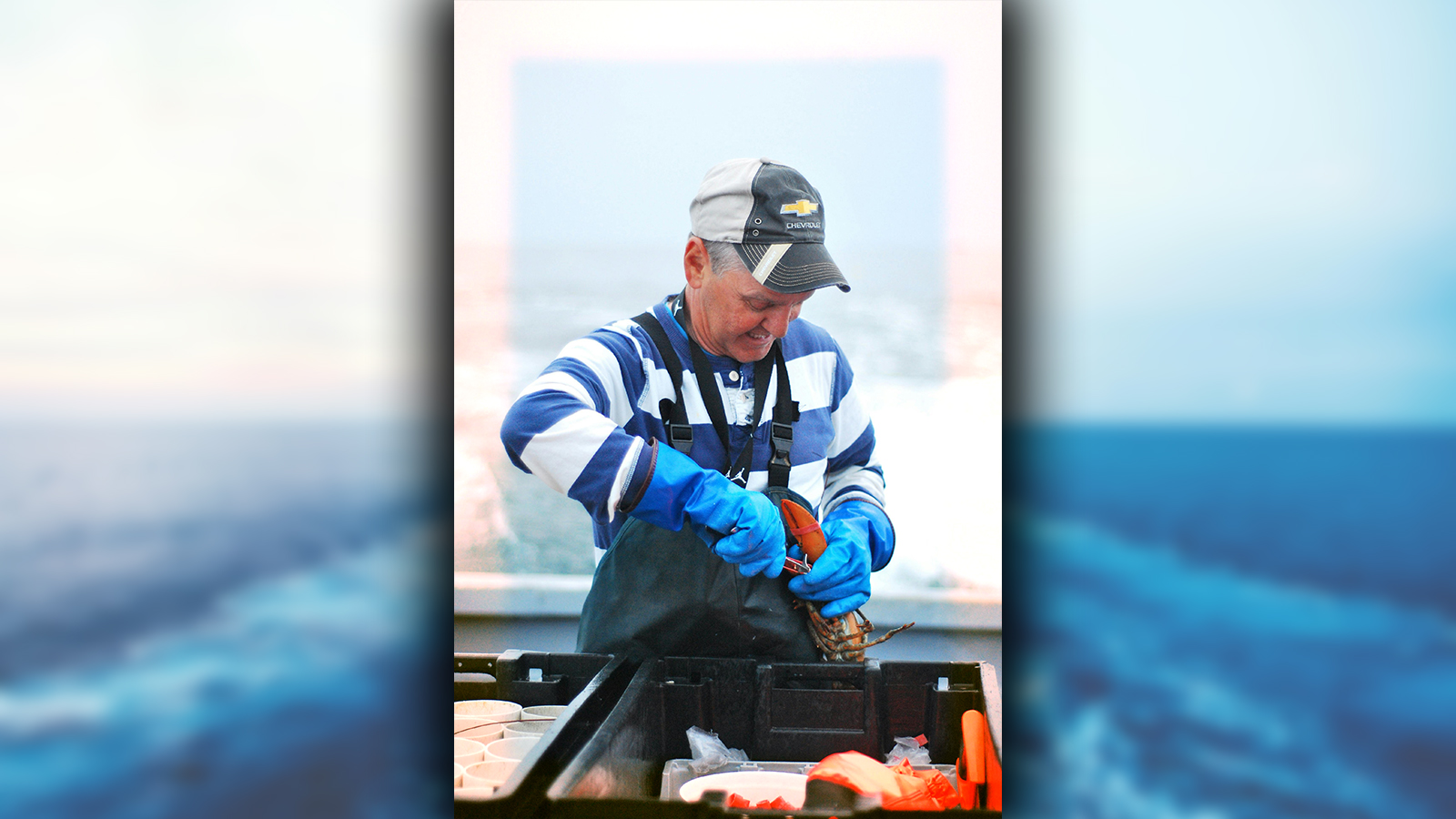 Wire Position Monitor Supreme Court Declines to Hear Maine Lobsterman's Challenge of 24/7 ...